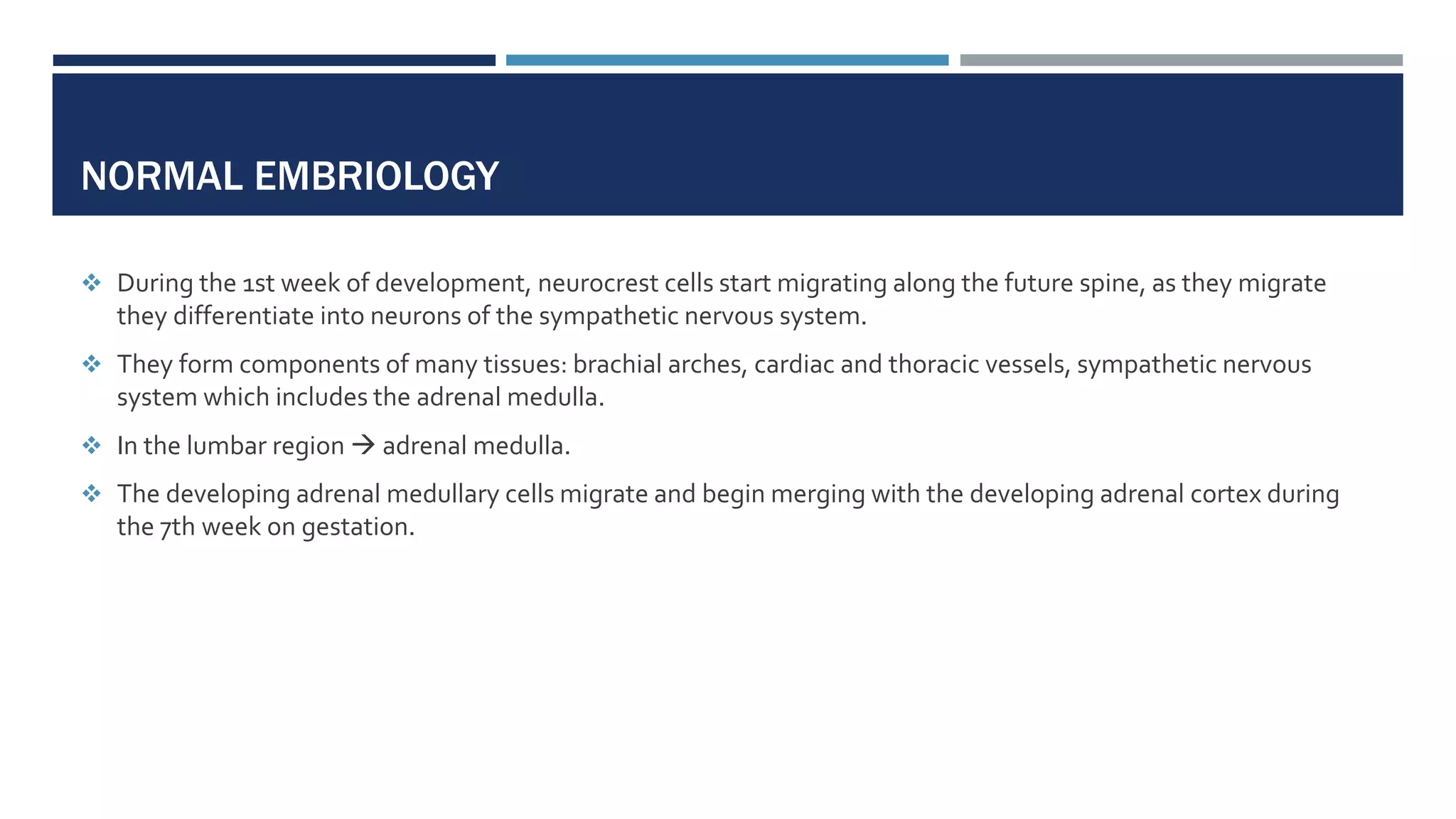 NORMAL EMBRIOLOGY
 During the 1st week of development, neurocrest cells start migrating along the future spine, as they migrate
they differentiate into neurons of the sympathetic nervous system.
 They form components of many tissues: brachial arches, cardiac and thoracic vessels, sympathetic nervous
system which includes the adrenal medulla.
 In the lumbar region  adrenal medulla.
 The developing adrenal medullary cells migrate and begin merging with the developing adrenal cortex during
the 7th week on gestation.
 