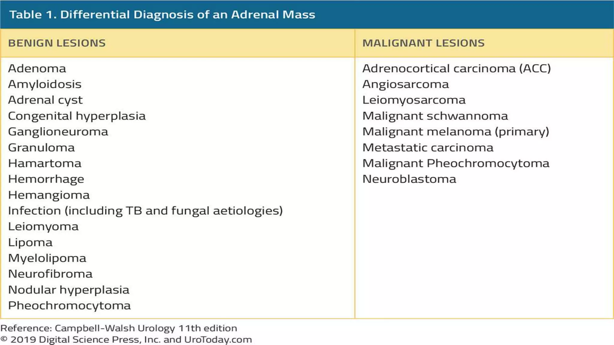 DIFFERENTIAL DIAGNOSIS OF ADRENAL MASSESS
 