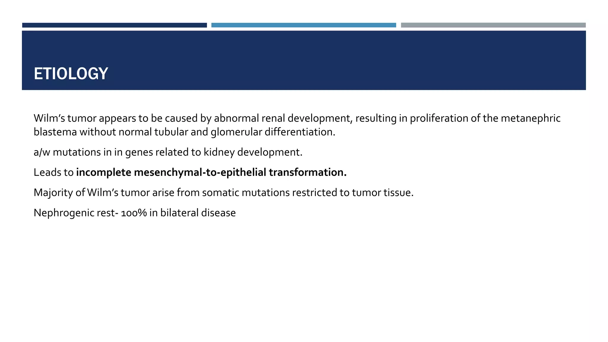 ETIOLOGY
Wilm’s tumor appears to be caused by abnormal renal development, resulting in proliferation of the metanephric
blastema without normal tubular and glomerular differentiation.
a/w mutations in in genes related to kidney development.
Leads to incomplete mesenchymal-to-epithelial transformation.
Majority ofWilm’s tumor arise from somatic mutations restricted to tumor tissue.
Nephrogenic rest- 100% in bilateral disease
 