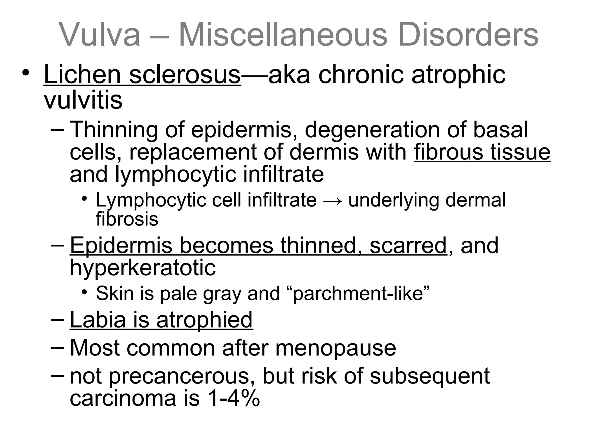 Vulva – Miscellaneous Disorders
• Lichen sclerosus—aka chronic atrophic
vulvitis
– Thinning of epidermis, degeneration of basal
cells, replacement of dermis with fibrous tissue
and lymphocytic infiltrate
• Lymphocytic cell infiltrate → underlying dermal
fibrosis
– Epidermis becomes thinned, scarred, and
hyperkeratotic
• Skin is pale gray and “parchment-like”
– Labia is atrophied
– Most common after menopause
– not precancerous, but risk of subsequent
carcinoma is 1-4%
 
