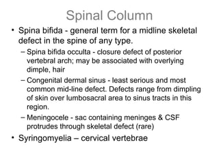 Spinal Defet neuro_bone_derm_&&&&-------------fem.ppt
