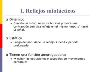 1. Reflejos miotácticos
 Dinámico
 Cuando un músc. se estira brusca/ provoca una
contracción enérgica refleja en el mismo músc. q’ nació
la señal.
 Estático
 Luego del ant. viene un reflejo + débil x período
prolongado
 Tienen una función amortiguadora:
  evitar las oscilaciones o sacudidas en movimientos
corporales
 