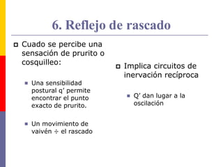 6. Reflejo de rascado
 Cuado se percibe una
sensación de prurito o
cosquilleo:
 Una sensibilidad
postural q’ permite
encontrar el punto
exacto de prurito.
 Un movimiento de
vaivén ÷ el rascado

 Implica circuitos de
inervación recíproca
Q’ dan lugar a la
oscilación
 