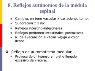 8. Reflejos autónomos de la médula
espinal





Cambios en tono vascular x variaciones temp.
Sudoración x ↑
calor
Reflejos intestino-intestinales
Reflejos peritoneo-intestinales ↓
peristaltismo
R. de evacuación ÷ vaciar vejiga o colon
llenos.
 Reflejo de automatismo medular
 Provoca dolor intenso en piel o llenado
excesivo de víscera.
 