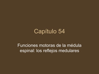 Capítulo 54 Funciones motoras de la médula espinal: los reflejos medulares 