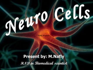 Neuro Cells Present by: M.Nafly HND  in Biomedical scientist * Nafly Hussain * 