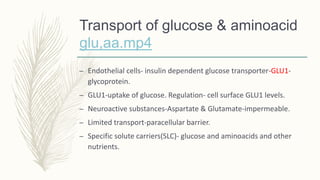 Transport of glucose & aminoacid
glu,aa.mp4
– Endothelial cells- insulin dependent glucose transporter-GLU1-
glycoprotein.
– GLU1-uptake of glucose. Regulation- cell surface GLU1 levels.
– Neuroactive substances-Aspartate & Glutamate-impermeable.
– Limited transport-paracellular barrier.
– Specific solute carriers(SLC)- glucose and aminoacids and other
nutrients.
 