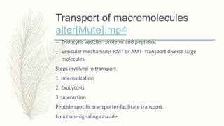 Transport of macromolecules
alter[Mute].mp4
– Endocytic vesicles- proteins and peptides.
– Vesicular mechanisms-RMT or AMT- transport diverse large
molecules.
Steps involved in transport
1. Internalization
2. Exocytosis
3. Interaction
Peptide specific transporter-facilitate transport.
Function- signaling cascade.
 