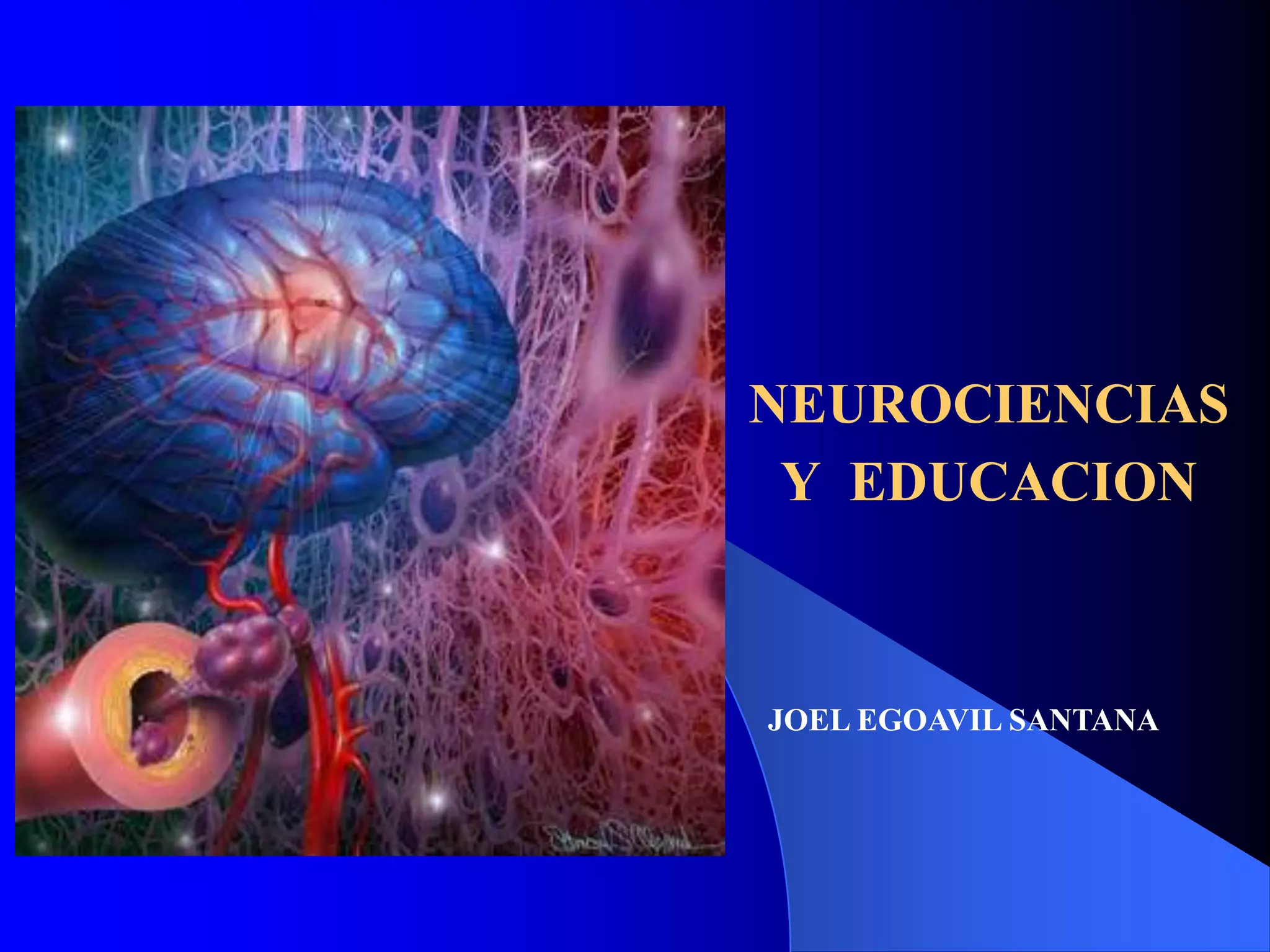 NEUROCIENCIAS
 Y EDUCACION



JOEL EGOAVIL SANTANA
 