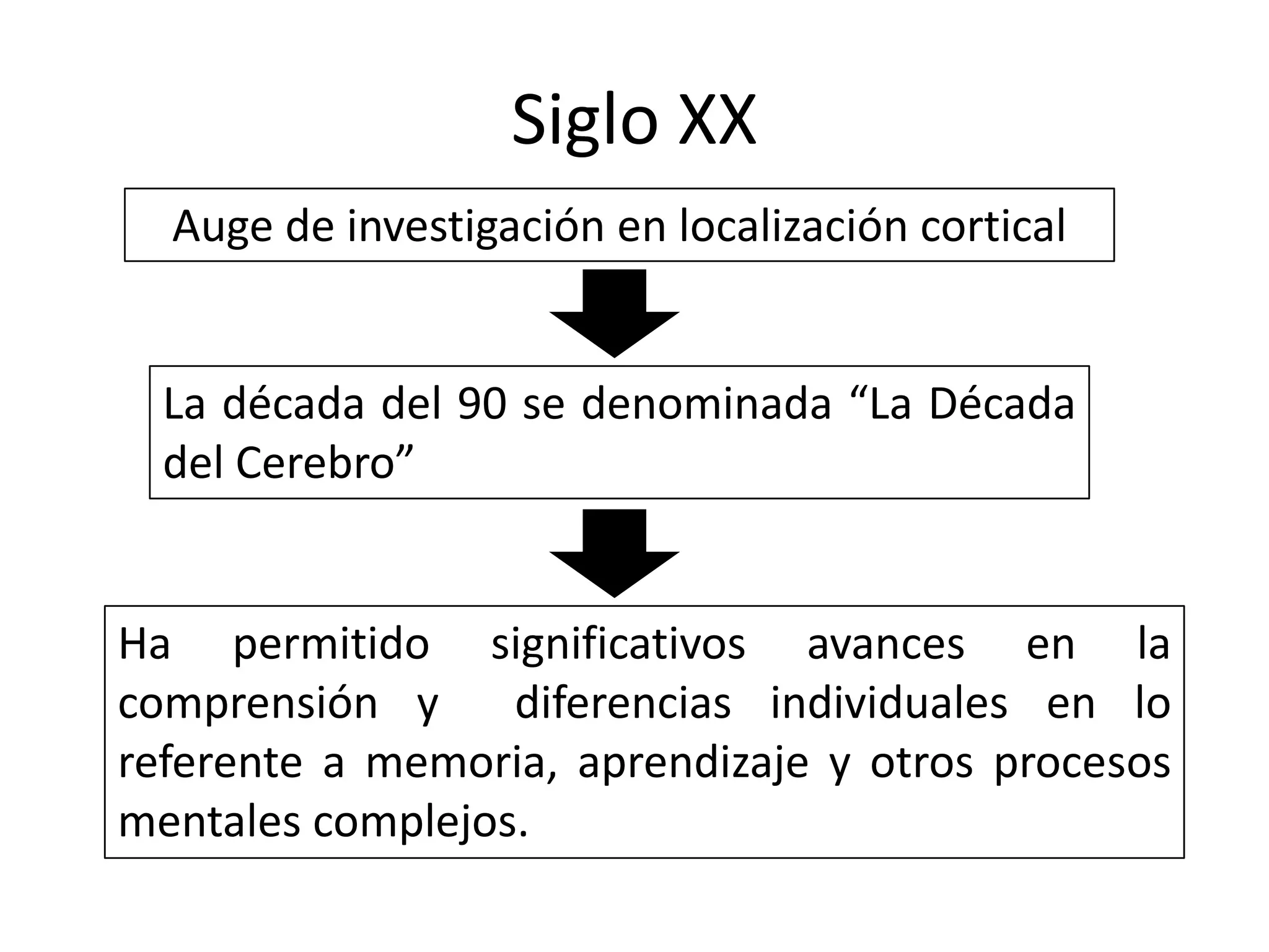 Siglo XX
  Auge de investigación en localización cortical


  La década del 90 se denominada “La Década
  del Cerebro”


Ha permitido significativos avances en la
comprensión y     diferencias individuales en lo
referente a memoria, aprendizaje y otros procesos
mentales complejos.
 