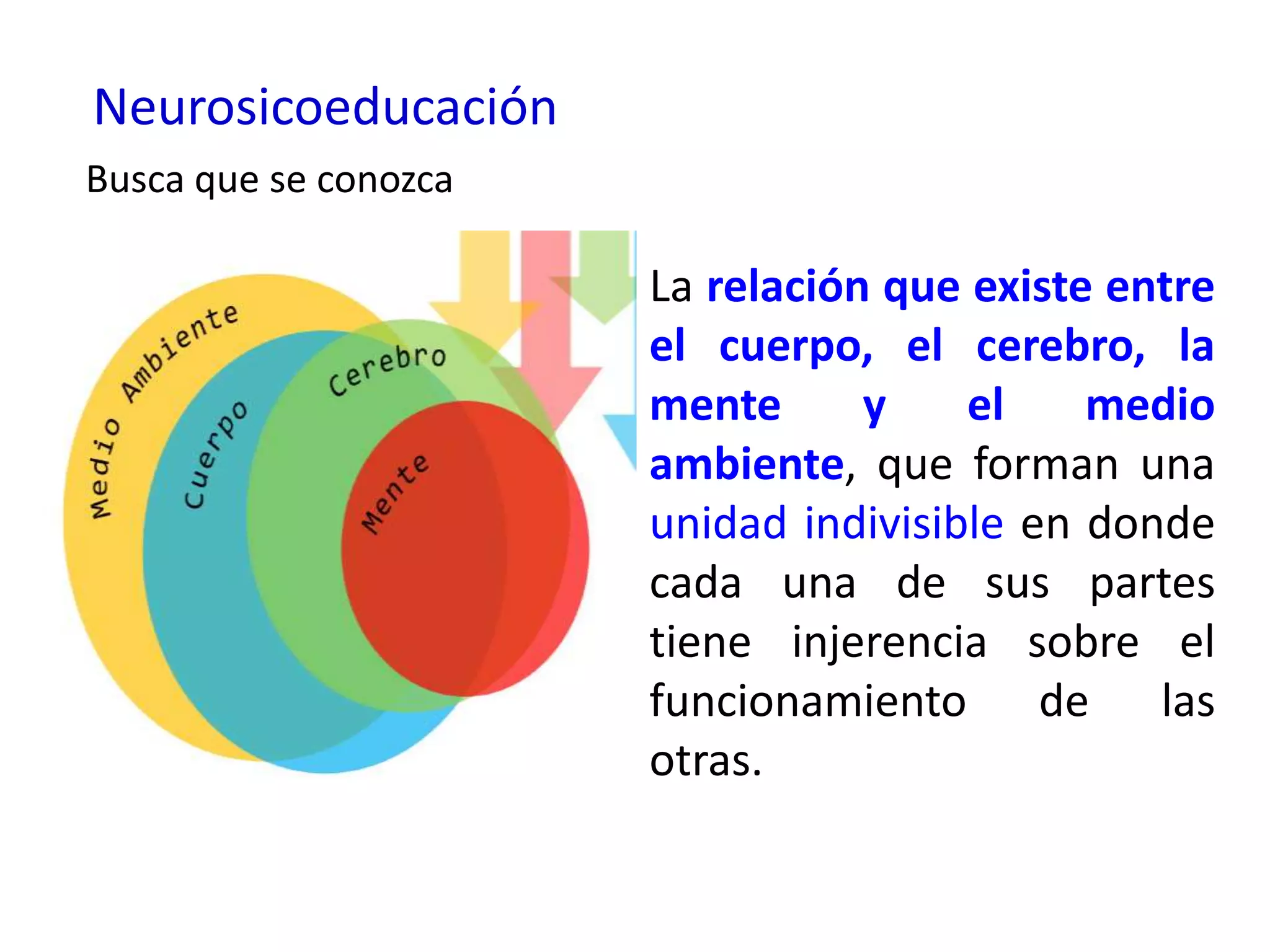 Neurosicoeducación
Busca que se conozca

                       La relación que existe entre
                       el cuerpo, el cerebro, la
                       mente      y    el    medio
                       ambiente, que forman una
                       unidad indivisible en donde
                       cada una de sus partes
                       tiene injerencia sobre el
                       funcionamiento de las
                       otras.
 