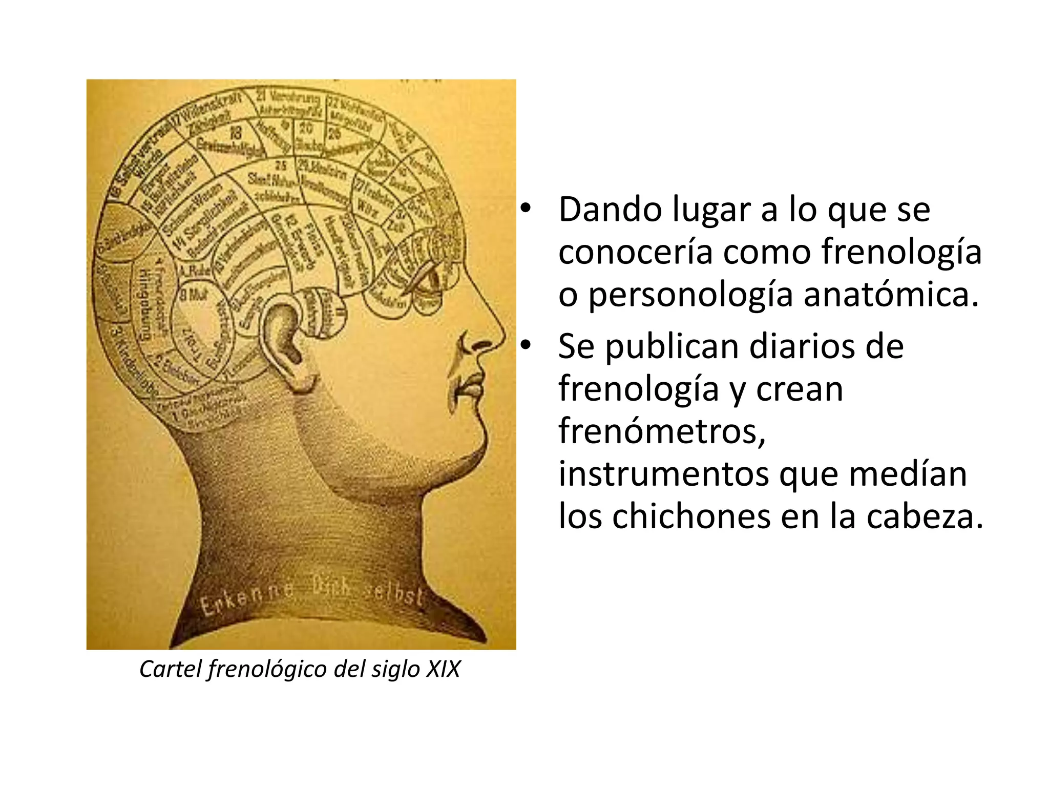 • Dando lugar a lo que se
                                     conocería como frenología
                                     o personología anatómica.
                                   • Se publican diarios de
                                     frenología y crean
                                     frenómetros,
                                     instrumentos que medían
                                     los chichones en la cabeza.


Cartel frenológico del siglo XIX
 