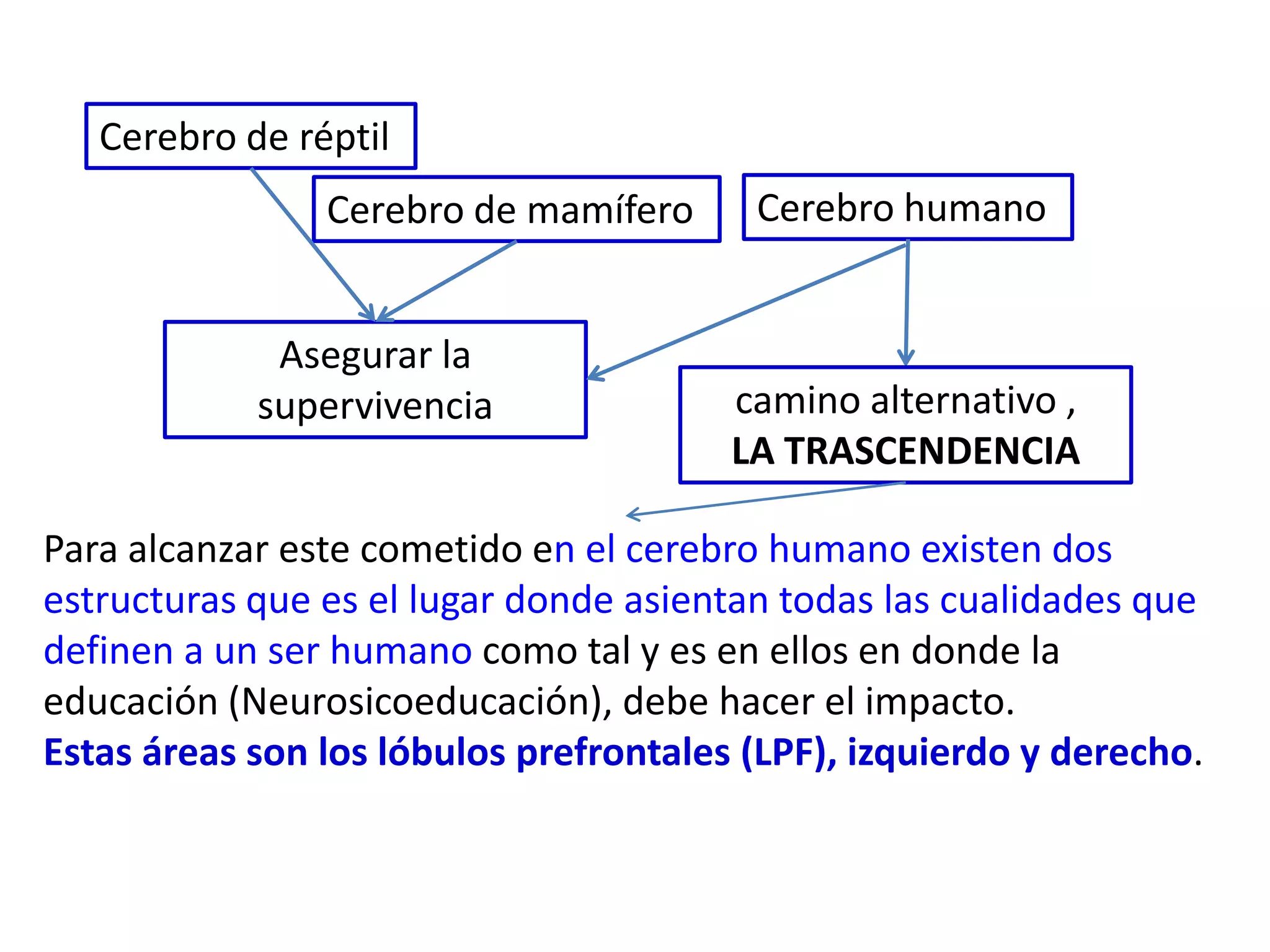 Cerebro de réptil
                Cerebro de mamífero      Cerebro humano


             Asegurar la
            supervivencia               camino alternativo ,
                                        LA TRASCENDENCIA

Para alcanzar este cometido en el cerebro humano existen dos
estructuras que es el lugar donde asientan todas las cualidades que
definen a un ser humano como tal y es en ellos en donde la
educación (Neurosicoeducación), debe hacer el impacto.
Estas áreas son los lóbulos prefrontales (LPF), izquierdo y derecho.
 