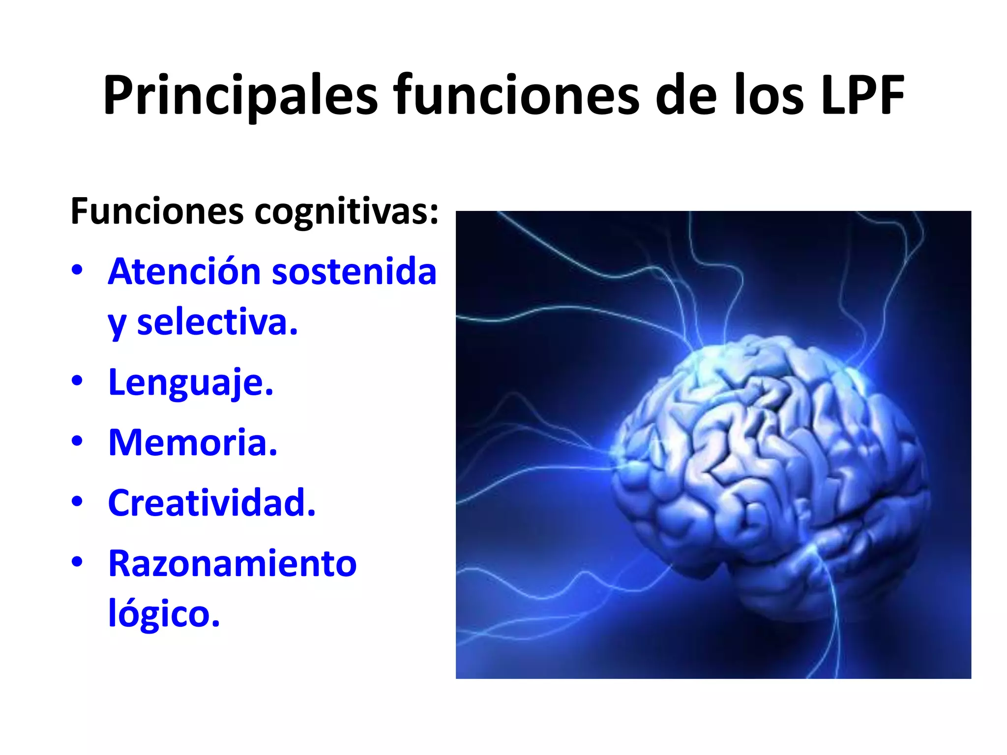 Principales funciones de los LPF
Funciones cognitivas:
• Atención sostenida
  y selectiva.
• Lenguaje.
• Memoria.
• Creatividad.
• Razonamiento
  lógico.
 