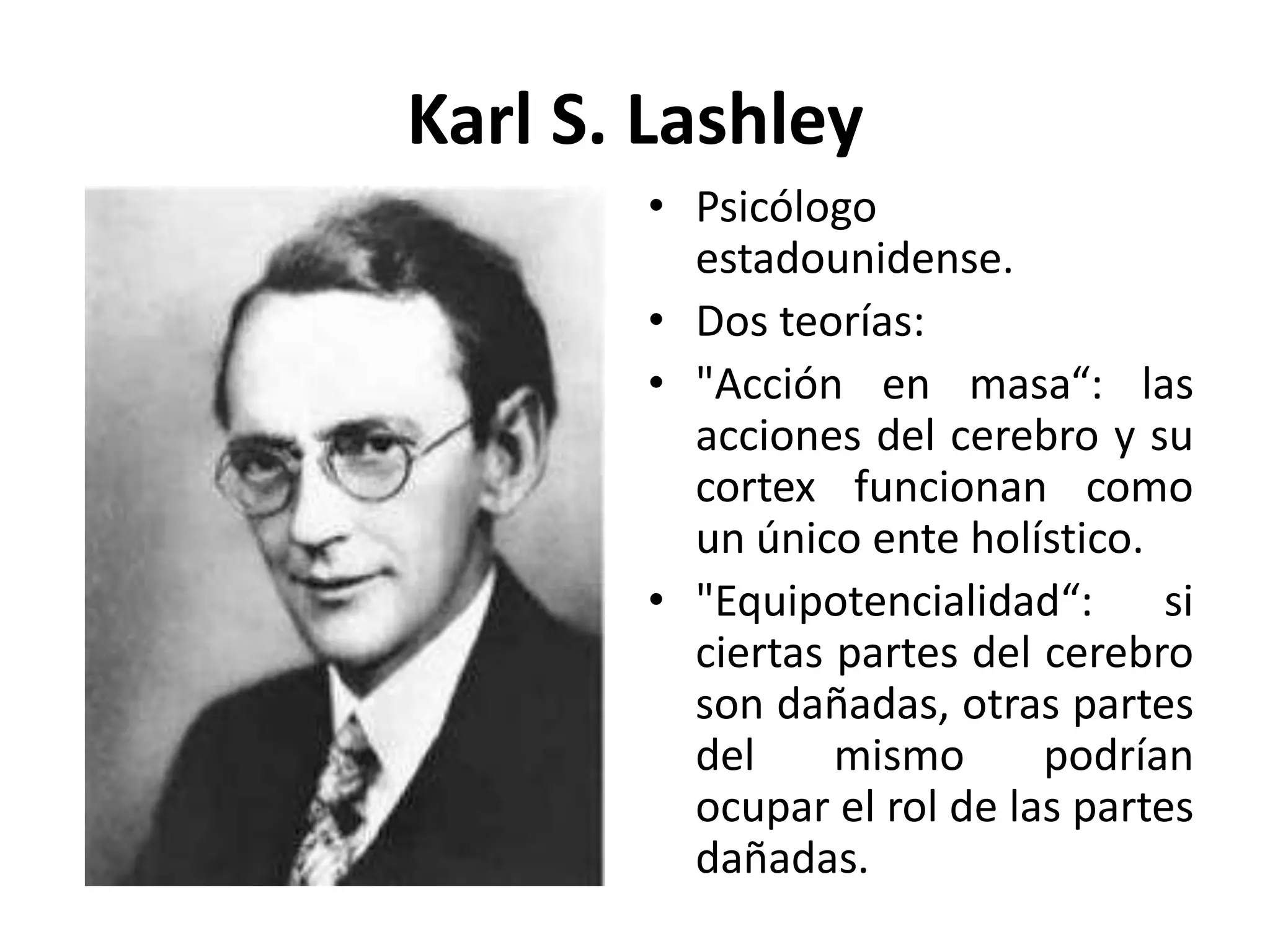 Karl S. Lashley
       • Psicólogo
         estadounidense.
       • Dos teorías:
       • "Acción en masa“: las
         acciones del cerebro y su
         cortex funcionan como
         un único ente holístico.
       • "Equipotencialidad“: si
         ciertas partes del cerebro
         son dañadas, otras partes
         del     mismo      podrían
         ocupar el rol de las partes
         dañadas.
 