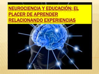Neurociencia y educación: El placer de aprender relacionando experiencias 