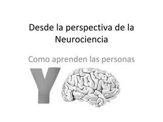Desde la perspectiva de la Neurociencia Como aprenden las personas 