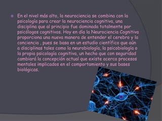    En el nivel más alto, la neurociencia se combina con la
    psicología para crear la neurociencia cognitiva, una
    disciplina que al principio fue dominada totalmente por
    psicólogos cognitivos. Hoy en día la Neurociencia Cognitiva
    proporciona una nueva manera de entender el cerebro y la
    conciencia , pues se basa en un estudio científico que aún
    a disciplinas tales como la neurobiología, la psicobiología o
    la propia psicología cognitiva, un hecho que con seguridad
    cambiará la concepción actual que existe acerca procesos
    mentales implicados en el comportamiento y sus bases
    biológicas.
 
