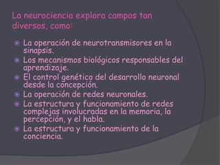 La neurociencia explora campos tan
diversos, como:
   La operación de neurotransmisores en la
    sinapsis.
   Los mecanismos biológicos responsables del
    aprendizaje.
   El control genético del desarrollo neuronal
    desde la concepción.
   La operación de redes neuronales.
   La estructura y funcionamiento de redes
    complejas involucradas en la memoria, la
    percepción, y el habla.
   La estructura y funcionamiento de la
    conciencia.
 