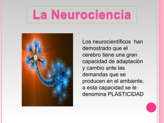Los neurocientíficos han
demostrado que el
cerebro tiene una gran
capacidad de adaptación
y cambio ante las
demandas que se
producen en el ambiente,
a esta capacidad se le
denomina PLASTICIDAD
 