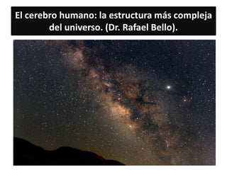 El cerebro humano: la estructura más compleja
del universo. (Dr. Rafael Bello).
 