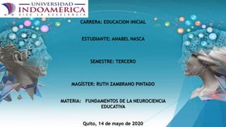 CARRERA: EDUCACION INICIAL
ESTUDIANTE: ANABEL NASCA
SEMESTRE: TERCERO
MAGÍSTER: RUTH ZAMBRANO PINTADO
MATERIA: FUNDAMENTOS DE LA NEUROCIENCIA
EDUCATIVA
Quito, 14 de mayo de 2020
 