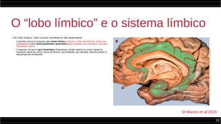 18
O “lobo límbico” e o sistema límbico
●
No “lobo límbico”, dois círculos concêntricos são observáveis:
– O primeiro círculo é composto pelo córtex límbico (subículo, córtex pré-piriforme, córtex peri-
amigdalóide) e pelo córtex paralímbico associativo (giro cingulado, giro subcaloso, giro para-
hipocampal, istmo)
– O segundo círculo é o giro intralímbico (hipocampo, porção anterior do uncus, banda de
Giacomini, ápice do uncus, cornos de Ammon, giro denteado, giro fasciolar, fasciola cinerea, e
hipocampo pré-comissural)
Di Marino et al 2016
 