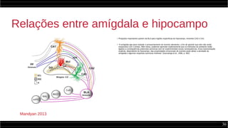 36
Relações entre amígdala e hipocampo
●
Projeções importantes partem da BLA para regiões específicas do hipocampo, incluindo CA3 e CA1
●
“A amígdala age para modular o armazenamento de eventos alertantes, a fim de garantir que eles não serão
esquecidos com o tempo. Além disso, podemos aprender explicitamente que os estímulos do ambiente estão
ligados a consequências potenciais aversivas sem ter experimentado essas consequências. Essa representação
explícita, dependente do hipocampo, das propriedades emocionais de eventos pode afetar a atividade da
amígdala e algumas respostas aversivas indiretas” (Gazzaniga et al., 2006, p. 582)
Mandyan 2013
 