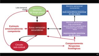 43
Estímulo
emocionalmente
competente
Áreas sensoriais
secundárias
Memória
de longo prazo
Memória
de longo prazo
Circuito
sub-cortical
Circuito
sub-cortical
Comportamento
Respostas
fisiológicas
Lobo temporal
medial
Memória operacional
(consciente)
____________________
Auto-consciência emocional
de alta ordem
Memória operacional
(não-consciente)
-Memória (factual e autobiográfica)
-Esquemas (self, emoção)
-Alerta
____________________
Representação emocional
de alta ordem
 