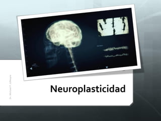 Neuroplasticidad
Dr.MichaelP.Gillespie
 