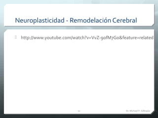 Neuroplasticidad - Remodelación Cerebral
 http://www.youtube.com/watch?v=VvZ-9ofM7Go&feature=related
Dr. Michael P. Gille...