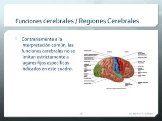 Funciones cerebrales / Regiones Cerebrales
 Contrariamente a la
interpretación común, las
funciones cerebrales no se
limi...
