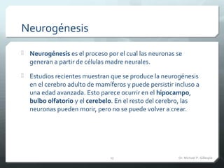 Neurogénesis
 Neurogénesis es el proceso por el cual las neuronas se
generan a partir de células madre neurales.
 Estudi...