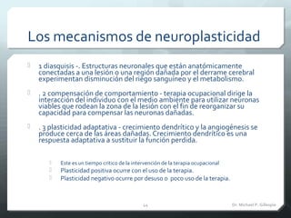 Los mecanismos de neuroplasticidad
 1 diasquisis -. Estructuras neuronales que están anatómicamente
conectadas a una lesi...