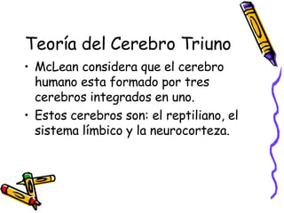 Teoría del Cerebro Triuno McLean considera que el cerebro humano esta formado por tres cerebros integrados en uno.  Estos cerebros son: el reptiliano, el sistema límbico y la neurocorteza.  