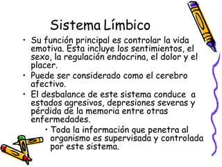 Sistema Límbico Su función principal es controlar la vida emotiva. Esta incluye los sentimientos, el sexo, la regulación endocrina, el dolor y el placer. Puede ser considerado como el cerebro afectivo. El desbalance de este sistema conduce  a estados agresivos, depresiones severas y pérdida de la memoria entre otras enfermedades. Toda la información que penetra al organismo es supervisada y controlada por este sistema. 