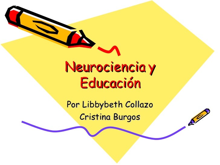 Neurociencia curso