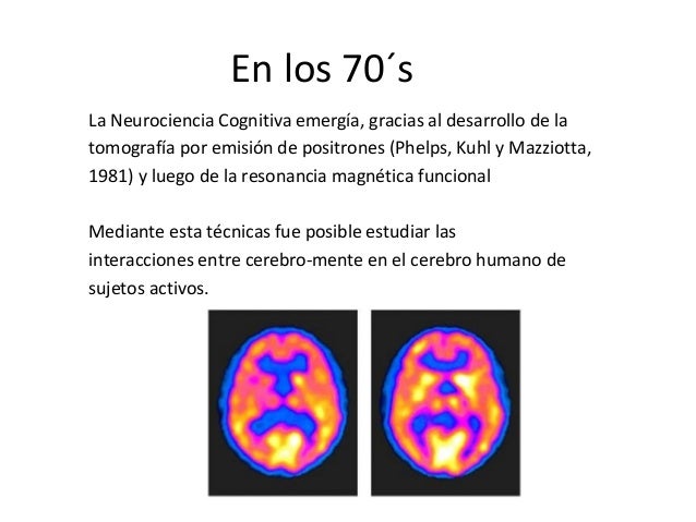 Neurociencia curso