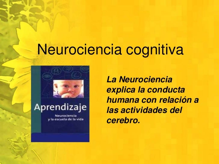 Ver imagen de origen Resultado de imagen de neurociencia cognitiva