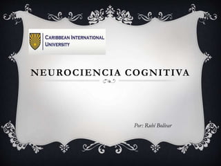 NEUROCIENCIA COGNITIVA
Por: Rubí Bolívar
 