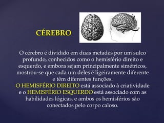 CÉREBRO
O cérebro é dividido em duas metades por um sulco
profundo, conhecidos como o hemisfério direito e
esquerdo, e embora sejam principalmente simétricos,
mostrou-se que cada um deles é ligeiramente diferente
e têm diferentes funções.
O HEMISFÉRIO DIREITO está associado à criatividade
e o HEMISFÉRIO ESQUERDO está associado com as
habilidades lógicas, e ambos os hemisférios são
conectados pelo corpo caloso.
 