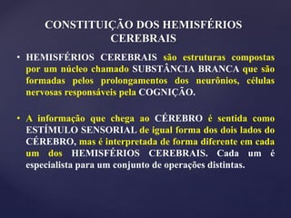 CONSTITUIÇÃO DOS HEMISFÉRIOS
CEREBRAIS
• HEMISFÉRIOS CEREBRAIS são estruturas compostas
por um núcleo chamado SUBSTÂNCIA BRANCA que são
formadas pelos prolongamentos dos neurônios, células
nervosas responsáveis pela COGNIÇÃO.
• A informação que chega ao CÉREBRO é sentida como
ESTÍMULO SENSORIAL de igual forma dos dois lados do
CÉREBRO, mas é interpretada de forma diferente em cada
um dos HEMISFÉRIOS CEREBRAIS. Cada um é
especialista para um conjunto de operações distintas.
 