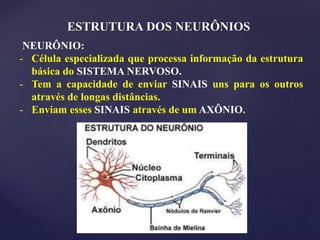 ESTRUTURA DOS NEURÔNIOS
NEURÔNIO:
- Célula especializada que processa informação da estrutura
básica do SISTEMA NERVOSO.
- Tem a capacidade de enviar SINAIS uns para os outros
através de longas distâncias.
- Enviam esses SINAIS através de um AXÔNIO.
 