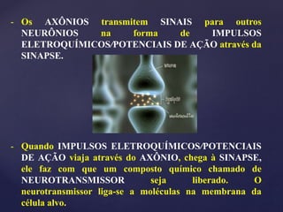 - Os AXÔNIOS transmitem SINAIS para outros
NEURÔNIOS na forma de IMPULSOS
ELETROQUÍMICOS/POTENCIAIS DE AÇÃO através da
SINAPSE.
- Quando IMPULSOS ELETROQUÍMICOS/POTENCIAIS
DE AÇÃO viaja através do AXÔNIO, chega à SINAPSE,
ele faz com que um composto químico chamado de
NEUROTRANSMISSOR seja liberado. O
neurotransmissor liga-se a moléculas na membrana da
célula alvo.
 
