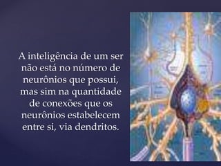 A inteligência de um ser
não está no número de
neurônios que possui,
mas sim na quantidade
de conexões que os
neurônios estabelecem
entre si, via dendritos.
 