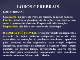 LOBOS CEREBRAIS
LOBO FRONTAL
Localização: na parte da frente do cérebro, na região da testa.
Função: acontece o planejamento de ações e movimento, bem
como o pensamento abstrato. Responsável pelas emoções.
Responsável: pela fala e movimentos de todo corpo.
O CORTEX PRÉ-FRONTAL é responsável pelo planejamento e
execução de ações motoras complexas, início da ação,
capacidade de resolução de problemas complexos, capacidade
para encadear tarefas sequenciais para atingir objetivos
específicos, capacidade de aprender e executar várias tarefas
paralelas ao mesmo tempo, agressividade, valores morais,
capacidade para acompanhar pensamentos mais complexos,
controle do humor. Memória de trabalho.
 