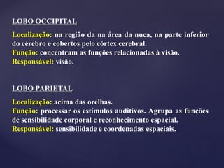 LOBO OCCIPITAL
Localização: na região da na área da nuca, na parte inferior
do cérebro e cobertos pelo córtex cerebral.
Função: concentram as funções relacionadas à visão.
Responsável: visão.
LOBO PARIETAL
Localização: acima das orelhas.
Função: processar os estímulos auditivos. Agrupa as funções
de sensibilidade corporal e reconhecimento espacial.
Responsável: sensibilidade e coordenadas espaciais.
 