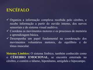  Organiza a informação complexa recebida pelo cérebro, e
recebe informação a partir do ouvido interno, dos nervos
sensoriais e do sistema visual auditivo.
 Coordena os movimentos motores e os processos de memória
e aprendizagem básica.
 Desempenha um papel fundamental na coordenação dos
movimentos voluntários motores, do equilíbrio e do
tônus ​​muscular.
Sistema Límbico: O sistema límbico, também conhecido como
o CÉREBRO EMOCIONAL, se encontra enterrado no
cérebro, e contém o tálamo, hipotálamo, amígdala e hipocampo.
ENCÉFALO
 