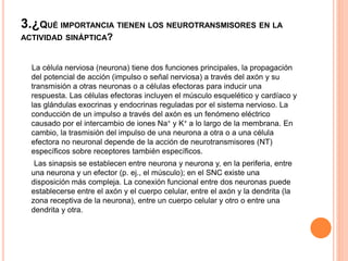 3.¿QUÉ IMPORTANCIA TIENEN LOS NEUROTRANSMISORES EN LA
ACTIVIDAD SINÁPTICA?
La célula nerviosa (neurona) tiene dos funciones principales, la propagación
del potencial de acción (impulso o señal nerviosa) a través del axón y su
transmisión a otras neuronas o a células efectoras para inducir una
respuesta. Las células efectoras incluyen el músculo esquelético y cardíaco y
las glándulas exocrinas y endocrinas reguladas por el sistema nervioso. La
conducción de un impulso a través del axón es un fenómeno eléctrico
causado por el intercambio de iones Na+ y K+ a lo largo de la membrana. En
cambio, la trasmisión del impulso de una neurona a otra o a una célula
efectora no neuronal depende de la acción de neurotransmisores (NT)
específicos sobre receptores también específicos.
Las sinapsis se establecen entre neurona y neurona y, en la periferia, entre
una neurona y un efector (p. ej., el músculo); en el SNC existe una
disposición más compleja. La conexión funcional entre dos neuronas puede
establecerse entre el axón y el cuerpo celular, entre el axón y la dendrita (la
zona receptiva de la neurona), entre un cuerpo celular y otro o entre una
dendrita y otra.
 