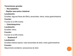 Transmisores grandes
 Neuropéptidos
Péptido vaso-activo intestinal
Localización:
Encéfalo; algunas fibras del SNA y sensoriales, retina, tracto gastrointestinal.
Función:
Función en el SN incierta.
 Colecistoquinina
Localización:
Encéfalo; retina.
Función:
Función en el SN incierta.
 Sustancia P
Localización:
Encéfalo;médula espinal, rutas sensoriales de dolor, tracto gastrointestinal.
Función:
Mayormente excitatorio; sensaciones de dolor.
 